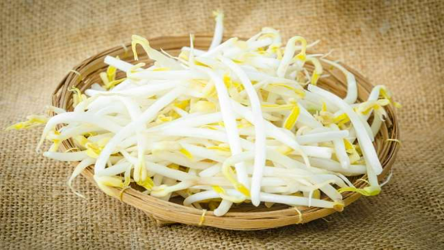 9 Manfaat Toge untuk Kesehatan Tubuh